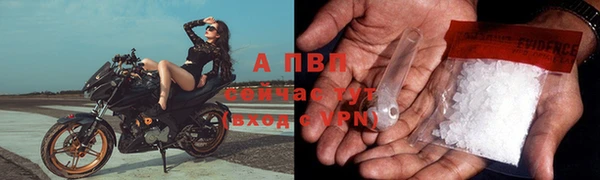 ешки Верея