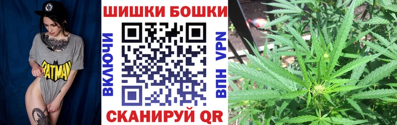 мориарти клад  Омск  Конопля план 
